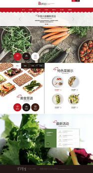 天津奔唐网络 打造绿色养生食品官网的开发与维护之道